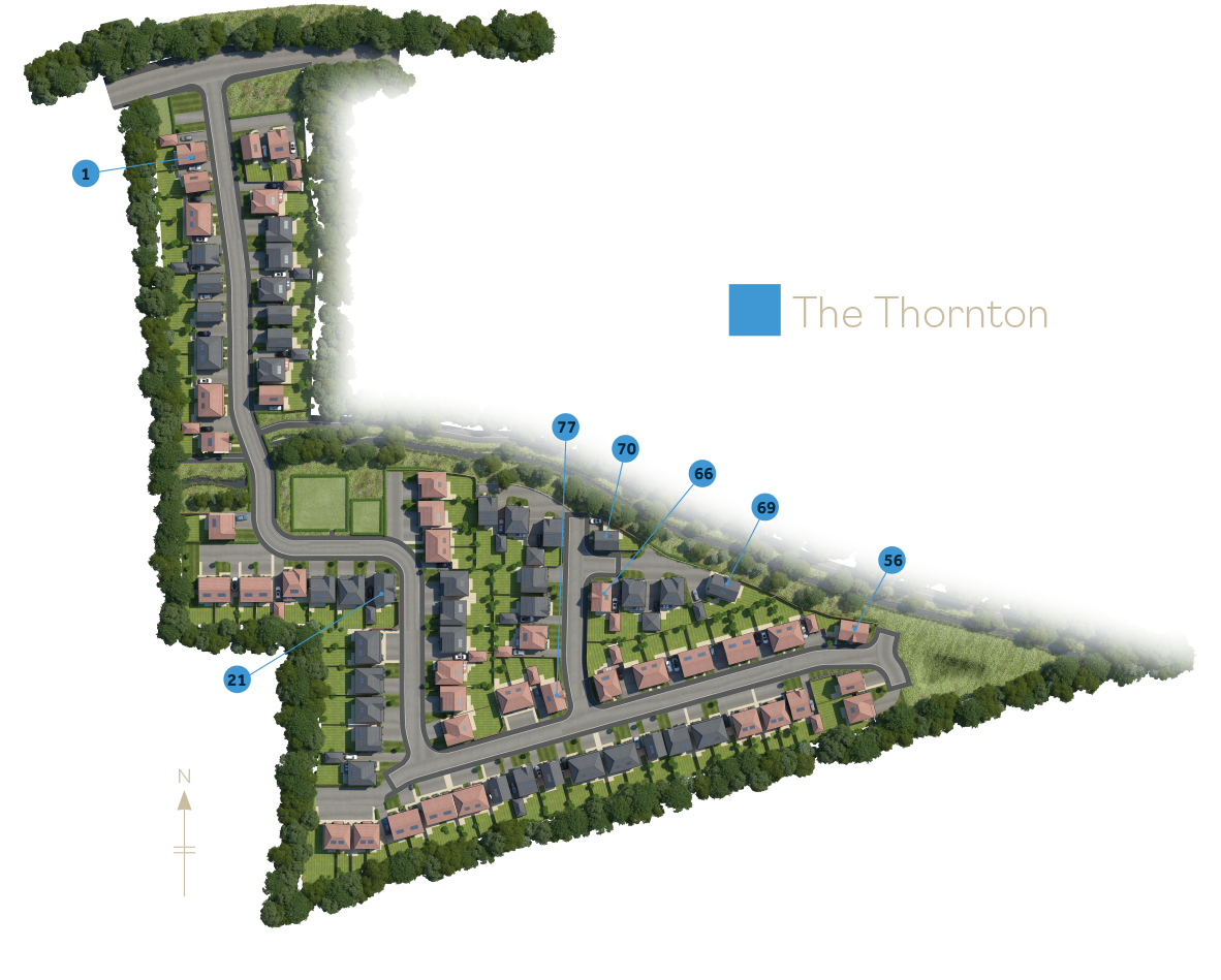 , The Thornton